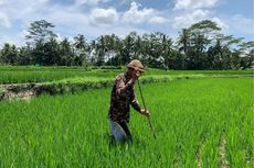 Desa Keliki di Bali Ciptakan Ekowisata dan Terapkan Produk Perbankan BRI untuk Dongkrak Perekonomian 