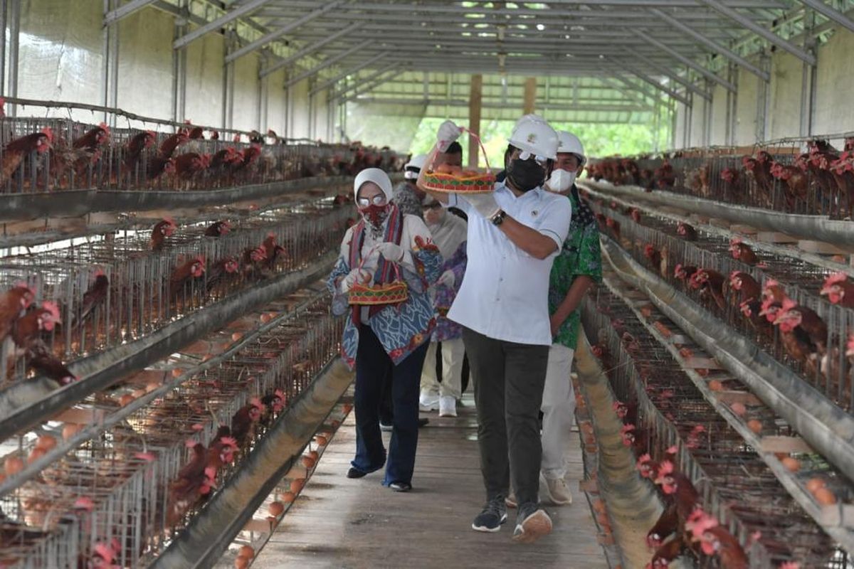 A file photo of Minister of Villages, Disadvantaged Regions and Transmigration, Abdul Halim Iskandar, and other local authorities visit a chicken farm in East Belitung dated on November 19, 2021. 