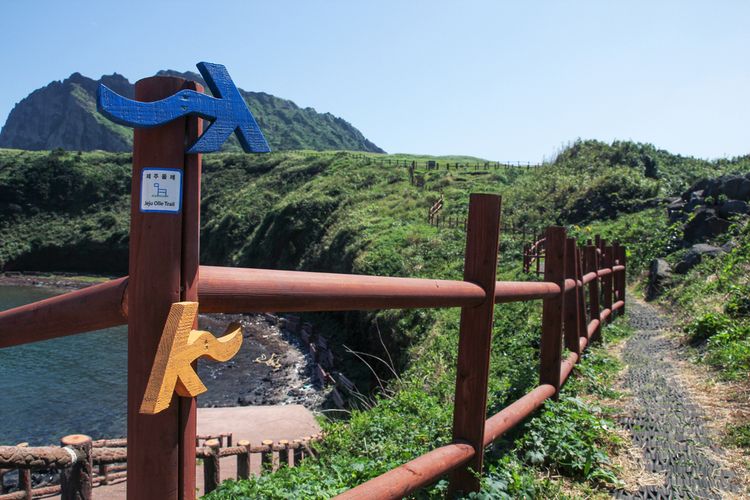 Jeju Olle Trail atau pendakian Olle di Pulau Jeju. 