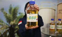 Mandatori B50 Tak Bisa Jadi Strategi Jangka Panjang, IESR Desak Pemerintah Hitung Ulang Risiko 