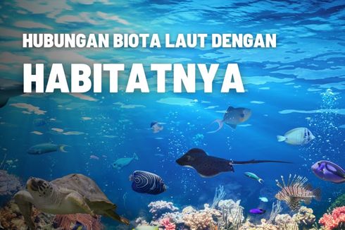 Hubungan Antara Biota Laut dengan Habitatnya 