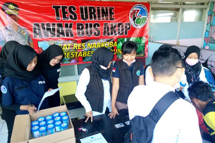 Petugas BNN Kota Bandung dan Satnarkoba Polrestabes Bandung tengah mendata sekaligus melakukan tes urine sopir bus di Terminal Cicaheum 