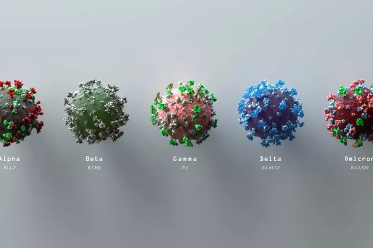 Ilustrasi berbagai varian Covid-19.