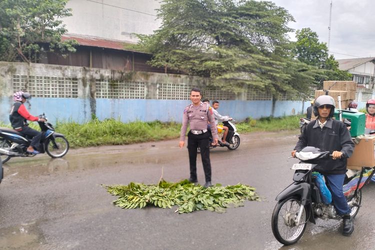 Seorang balita usia 3 tahun, inisial ZH, meninggal dunia usai terlindas truk di Jalan Medan Sampali Road, Kecamatan Percut Sei Tuan, Kabupaten Deli Serdang, pada Jumat (8/11/2024). 