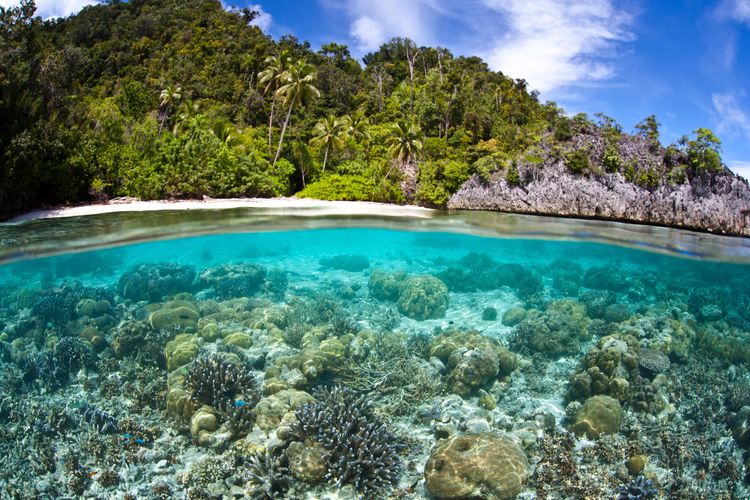 Pulau Misool, Papua Barat