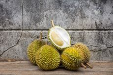 Agrowisata Durian, Peluang Bisnis Durian nan Menggiurkan