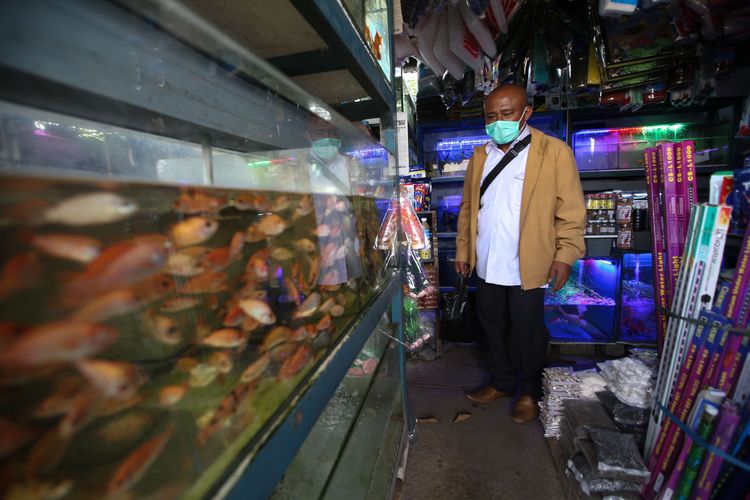 Mau Pelihara Ikan Hias Ini 5 Hal Yang Harus Diperhatikan Halaman All Kompas Com