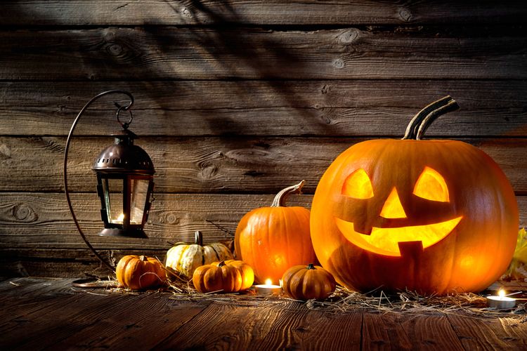 Ilustrasi Halloween. Simak sejarah dan tradisi Halloween, makna, kostum, dan trik-or-treat yang seru di Hari Halloween, 31 Oktober setiap tahunnya.