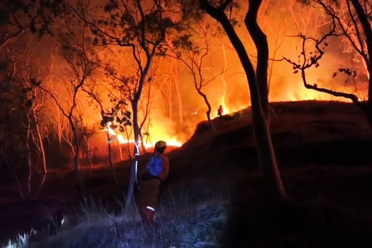 Karhutla Melanda 5 Lokasi di Ponorogo dalam Sehari, 6,1 Hektare Lahan Terbakar
