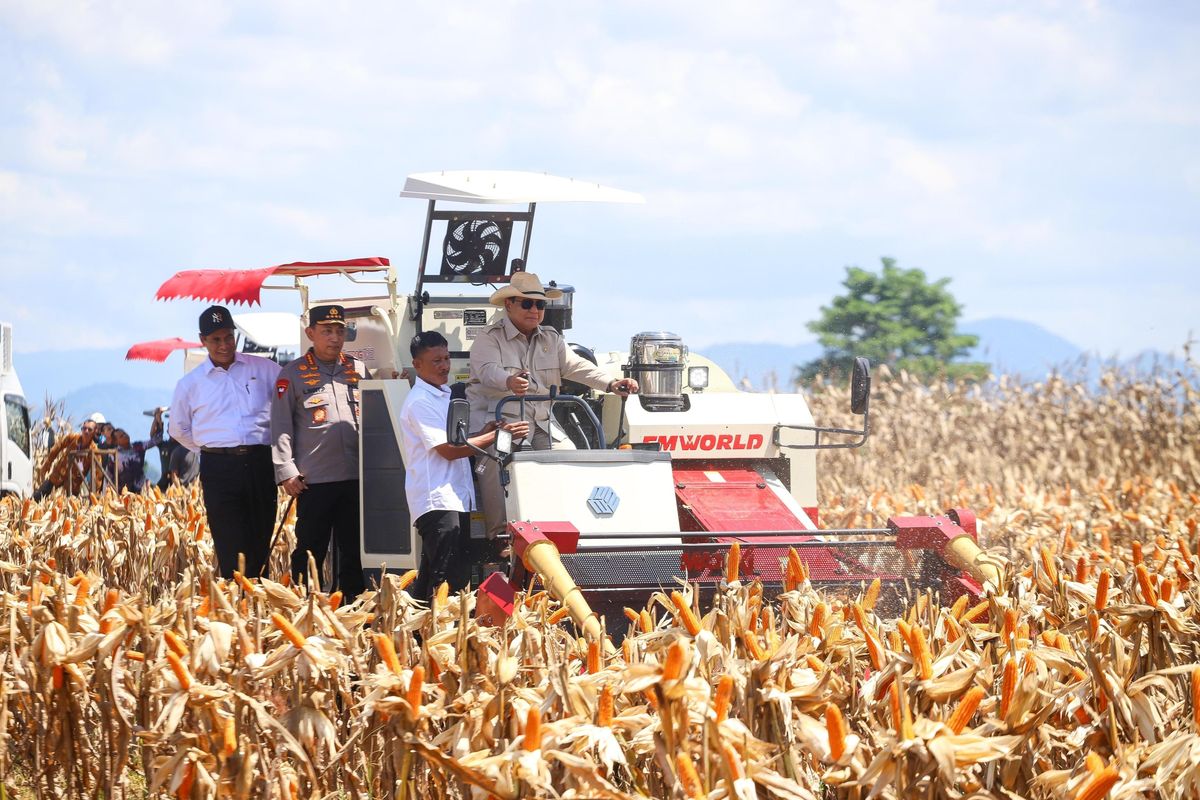 Mentan Amran Sulaiman mendampingi Presiden RI Prabowo Subianto dalam agenda panen raya jagung di Bengkayag, Kalimantan Barat (Kalbar).