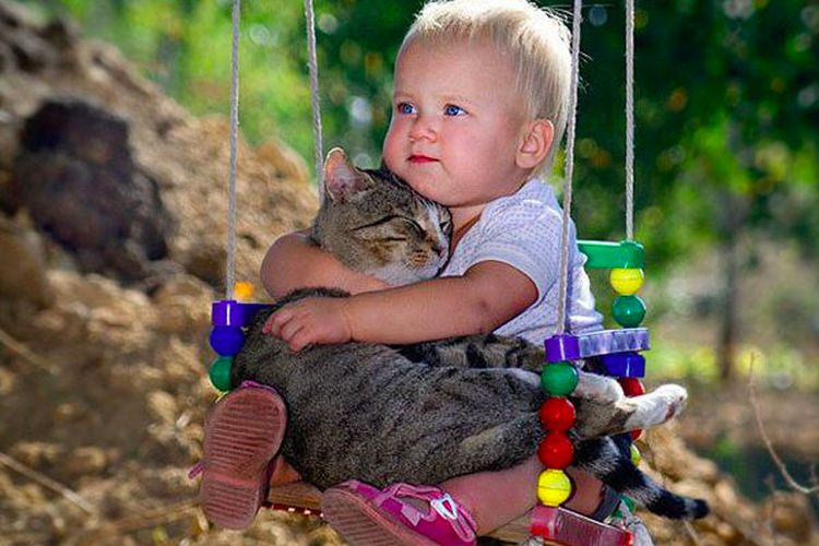 Interaksi seekor kucing dengan bayi manusia.