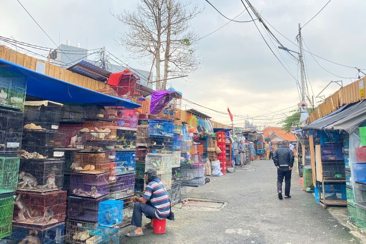 BKSDA Awasi Perdagangan Satwa di Pasar Burung Jatinegara, Dorong Kepatuhan dan Edukasi Konservasi