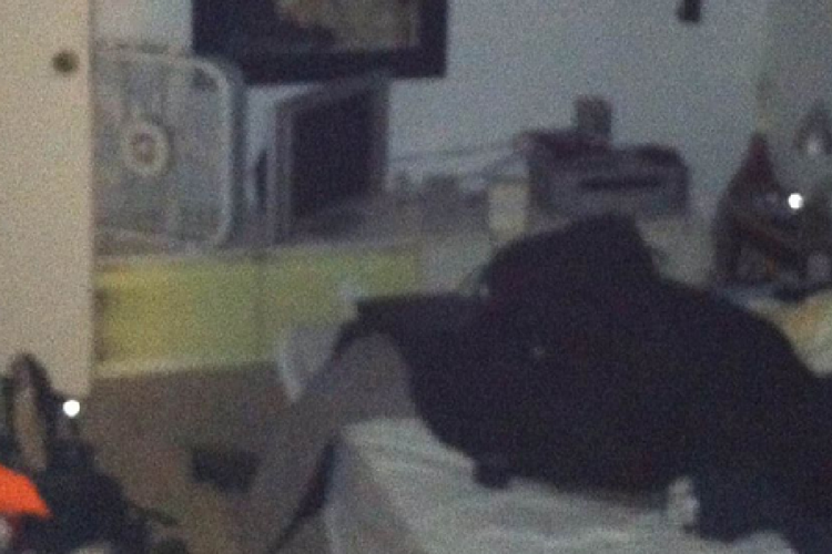 Listrik Sering Mati dan Dengar Suara Aneh, Mahasiswa Temukan Penghuni Rahasia di Kontrakan