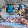 Tips Hilangkan Bau Prengus pada Pisau Usai Memotong Daging Kurban