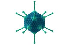 Virus Ikosahedral: Pengertian dan Contohnya