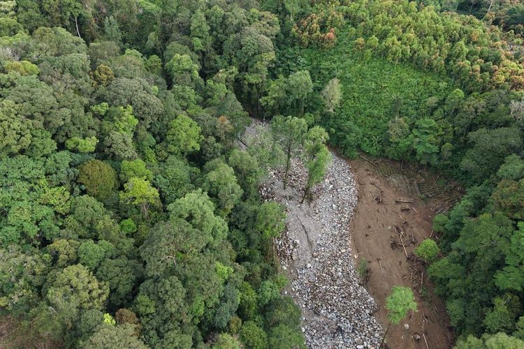 Polisi Temukan Alih Fungsi Lahan di Hulu Sungai jadi Penyebab Banjir Bandang Kabupaten Solok