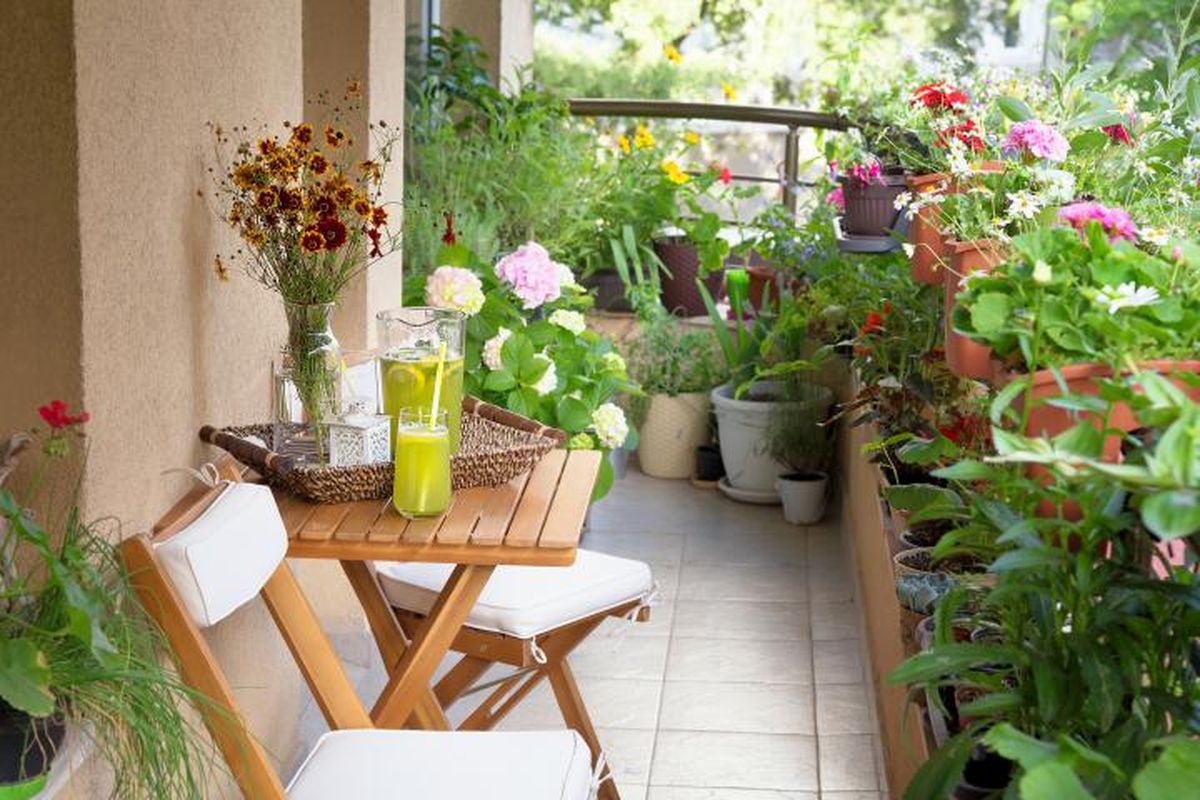 Membuat kebun mini di balkon apartemen