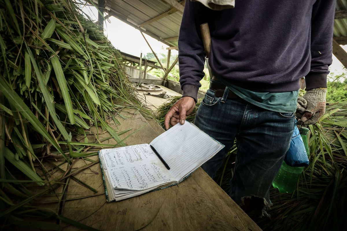 Foto dirilis Kamis (23/12/2021), memperlihatkan pekerja mencatat hasil timbangan daun serai wangi sebelum proses penyulingan di Desa Tountimomor, Kakas Barat, Minahasa, Sulawesi Utara. Dalam mengembangkan ekosistem klaster serai wangi, Otoritas Jasa Keuangan (OJK) bersama stakeholder lainnya memberi dukungan melalui pengembangan penyaluran kredit usaha rakyat (KUR) berbasis klaster di berbagai daerah.