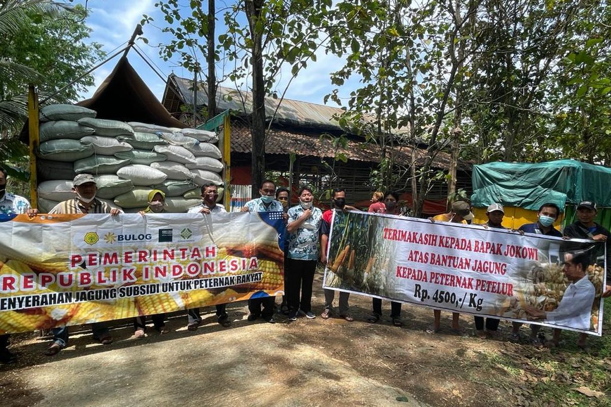 Bulog Siap Laksanakan Penugasan Penyedia dan Penyaluran Jagung