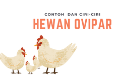 Contoh Hewan Ovipar dan Ciri-Cirinya