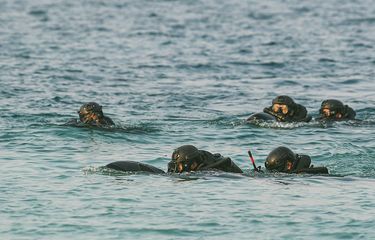 Foto dirilis Sabtu (18/7/2020), memperlihatkan prajurit Satuan Komando Pasukan Katak (Sat Kopaska) melakukan penyerbuan di atas permukaan air. Skenario penyerangan di Pulau Edam atau Pulau Damar, jajaran Kepulauan Seribu, Jakarta, itu adalah simulasi latihan Peperangan Laut Khusus 2020 dilakukan Kopaska Koarmada I.