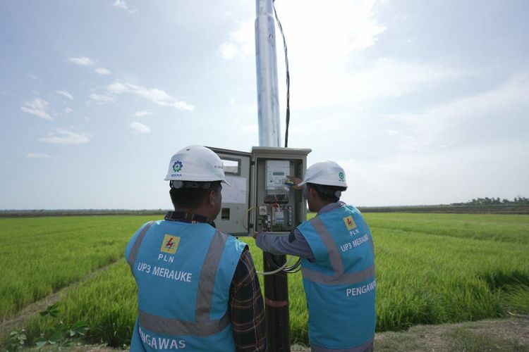 Petugas PLN sedang melakukan pengecekan listrik untuk pompa pengairan sawah di Kampung Telaga Sari, Merauke, Papua Selatan. Melalui program Electrifying Agriculture, kini produktivitas para petani di kampung tersebut semakin meningkat.
