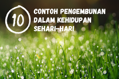 10 Contoh Pengembunan dalam Kehidupan Sehari-hari