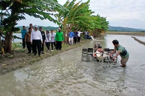 Tinjau Sawah di Kendal, Mentan Amran: Saya Merasakan Apa yang Dirasakan Petani yang Sawahnya Tergenang Air