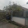 Pohon dan Tiang Listrik Tumbang Usai Hujan Deras Disertai Angin Kencang di Bandung