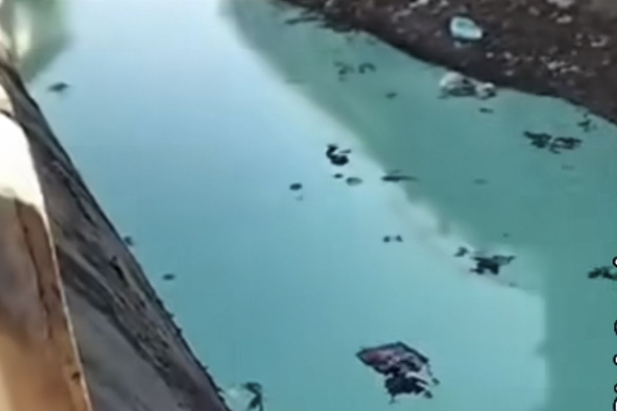 Sungai di Surabaya berwarna hijau, Senin (10/6/2024).