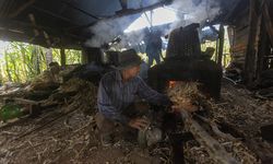 Dukung Industri Kecil hingga Hadirkan Smart Farming, Elektrifikasi Kuatkan Sektor Pangan Nasional