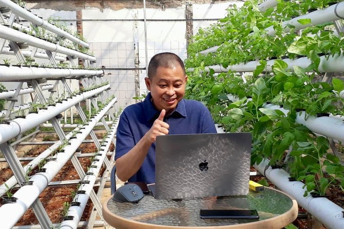 ignasius jonan di tengah kebun hidroponik miliknya