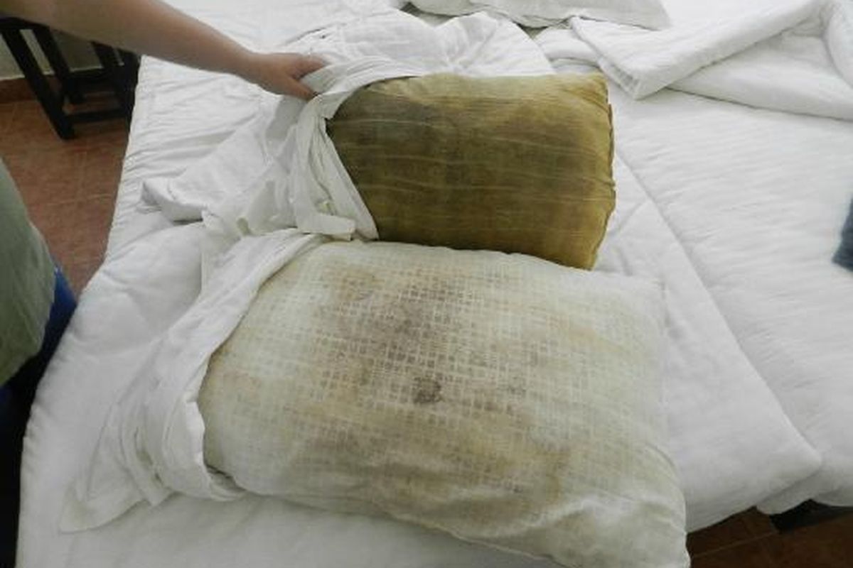 Bantal berjamur