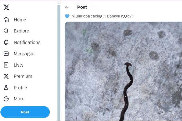 Tangkapan layar foto cacing yang mirip ular
