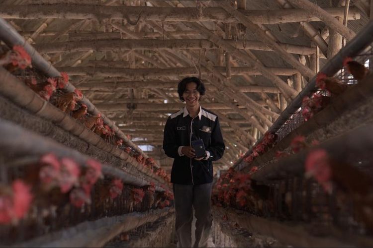 Sistem kontrol suhu dan gas pada kandang ayam berbasis Internet of Things yang diterapkan oleh peneliti AKB  membantu manajemen kebersihan kandang ayam para peternak ayam petelur di Kediri, Jawa Timur.
