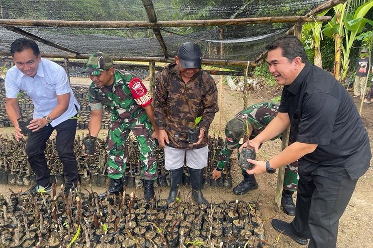 Badan Usaha Milik Negara (BUMN) Holding Industri Pertambangan atau Mining Industry Indonesia (MIND ID) berkolaborasi dengan PPAD persiapkan bibit pohon sukun premium dari Kota Ambon, Maluku untuk nantinya dibagikan kepada masyarakat dalam mendukung pembangunan berkelanjutan. 