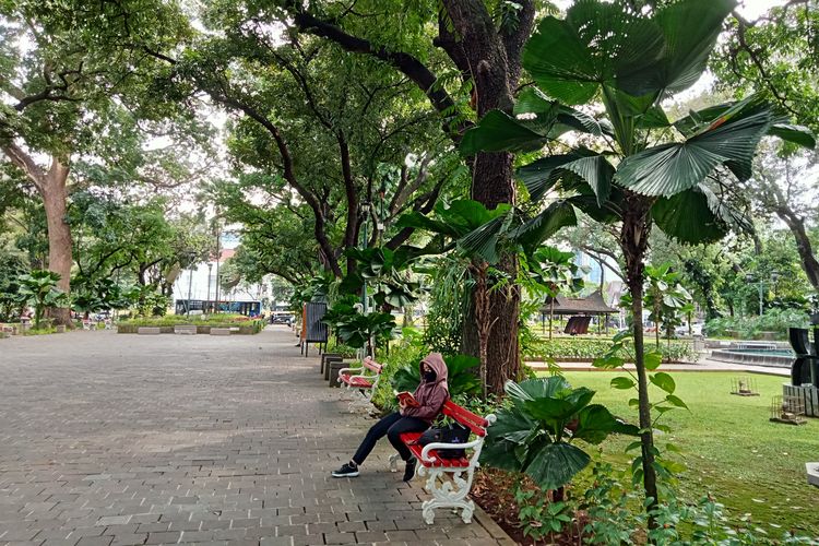 Potret pengunjung yang membaca buku di Taman Suropati