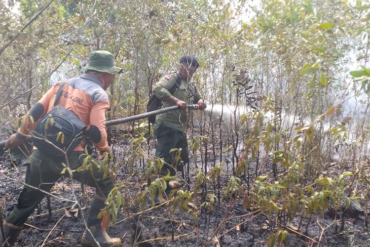 Petugas Manggala Agni Daops Dumai menerobos semak belukar untuk menjangkau titik api karhutla yang akan dipadamkan di Jalan Dahlia, Kelurahan Teluk Makmur, Kecamatan Medang Kampai, Dumai, Riau, Rabu (27/3/2019).