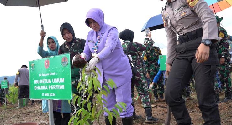 Kodam Mulawarman: Lokasi IKN Bukan di Tengah Hutan Heterogen