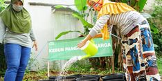 Jaga Stabilitas Pangan di Tengah Pandemi, Dompet Dhuafa Hadirkan Kebun Pangan Keluarga