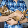 Apa yang Kucing Pikirkan tentang Manusia? Berikut Penjelasan Ilmiahnya