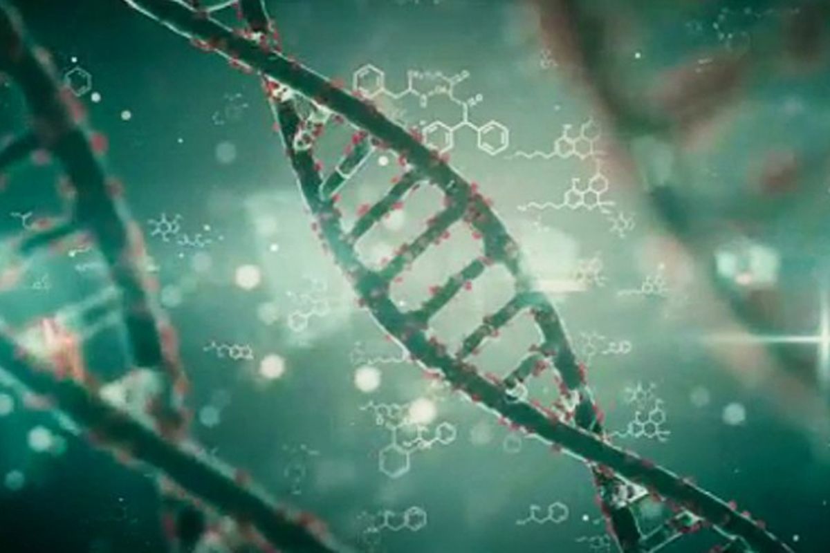 DNA