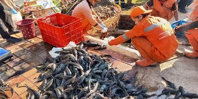 Tebuireng Bahas Hukum Basmi Ikan Sapu dan Lebur Jasad Manusia, Ini Penjelasannya