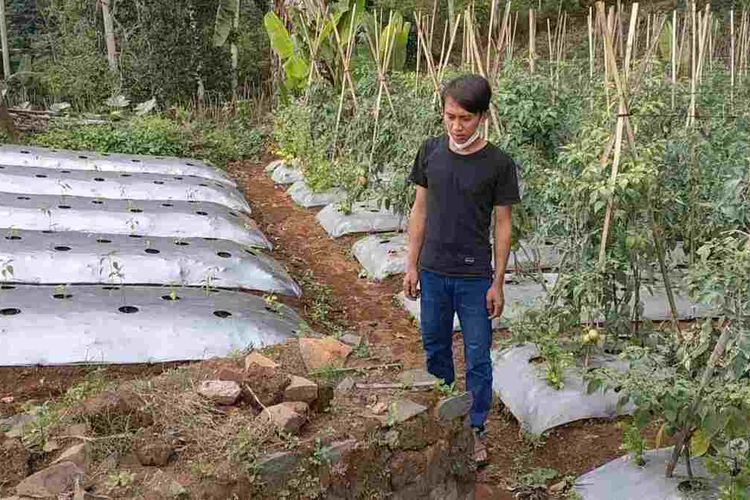 Warga asli Cigumentong, Cimanggung, Sumedang, menunjukkan kuburan Mr Yansen atau Tuan Blok, administratur eks Pemerintah Hindia Belanda yang menjadi juragan perkebunan di wilayah tersebut pada masa penajajahan Belanda. 