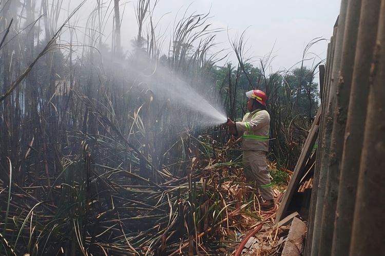 Lahan Tebu di Malang Terbakar, Nyaris Kena Permukiman Warga