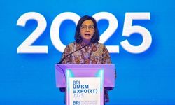 Anggaran Ketahanan Pangan 2025 Capai Rp 155,5 Triliun, untuk Subsidi Pupuk sampai Pasar Murah