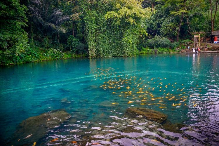 Situ Cipanten Majalengka 