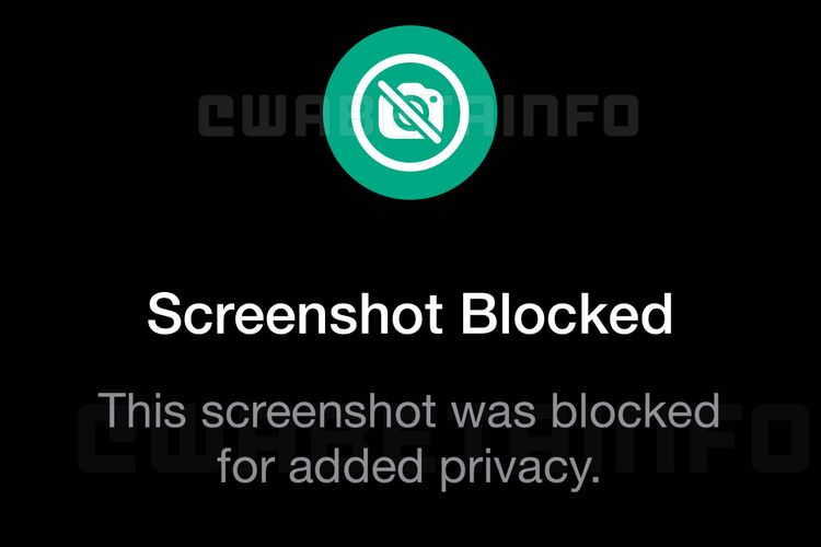 Ilustrasi fitur privasi mencegah tangkapan layar di WhatsApp