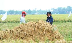 Kementan Optimistis Embung di Tabanan Bisa Tingkatkan Produktivitas Petani