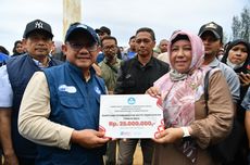 Selandia Baru Akan Basmi Kucing Liar demi Selamatkan Spesies Asli